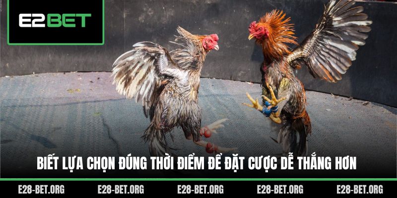 Biết lựa chọn đúng thời điểm để đặt cược dễ thắng hơn