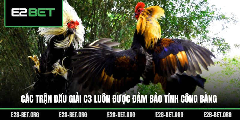 Các trận đấu giải C3 luôn được đảm bảo tính công bằng