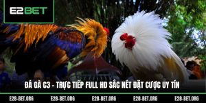 Đá Gà C3 - Trực Tiếp Full HD Sắc Nét Đặt Cược Uy Tín