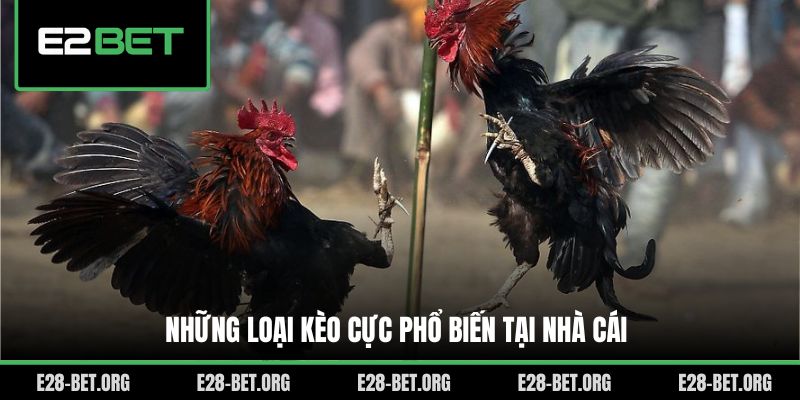 Những loại kèo cực phổ biến tại nhà cái