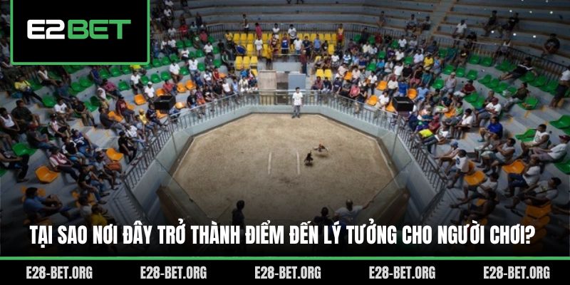 Tại sao nơi đây trở thành điểm đến lý tưởng cho người chơi?